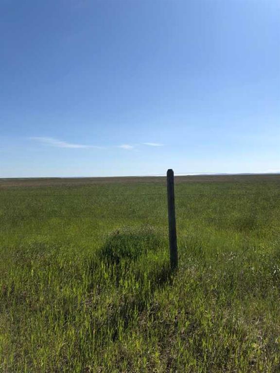 Near Hwy 501 E Property Photo 3