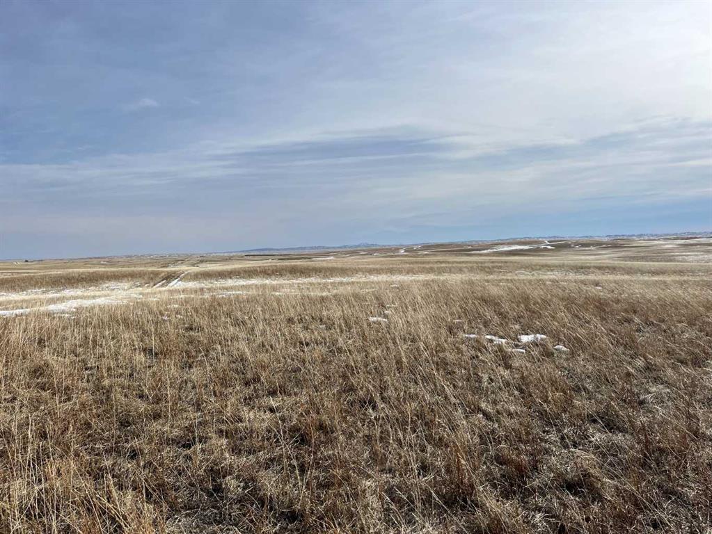 Near Hwy 501 E Property Photo 9