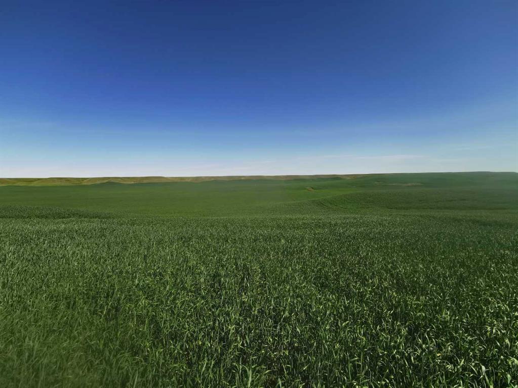 Near Hwy 501 E Property Photo