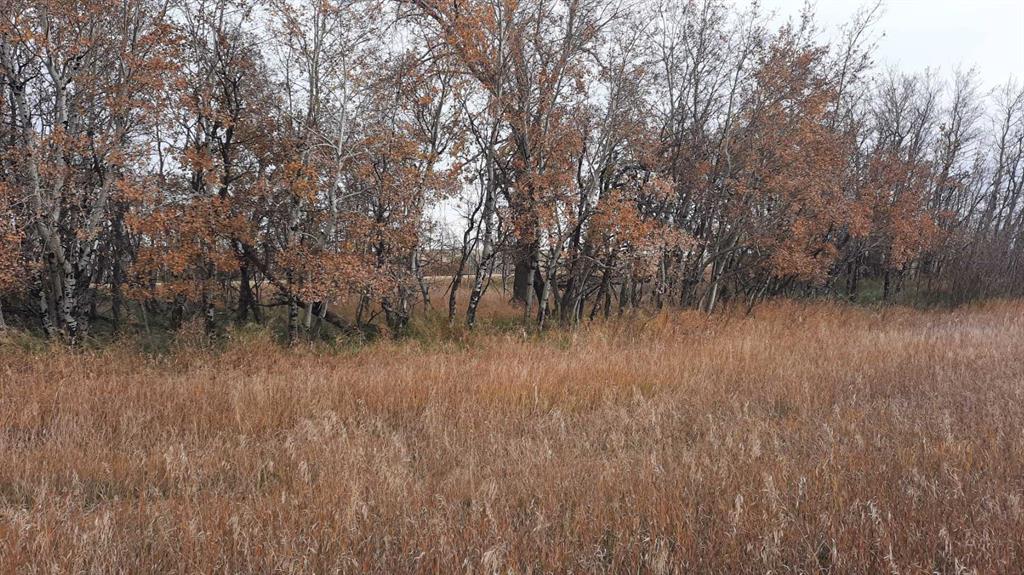 Hwy 9 Rr19-5a Road Property Photo 1