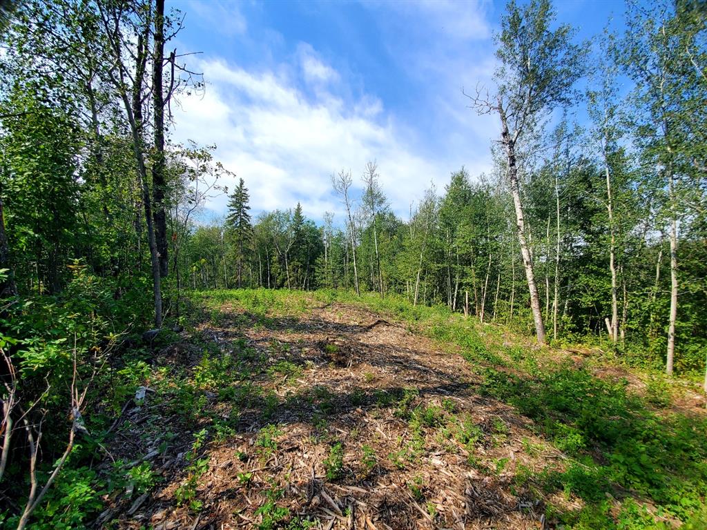 67458 Mcgrane Road 138 Property Photo