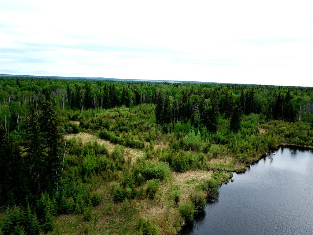Nw-19-81-9-w6 Highway 681 Property Photo