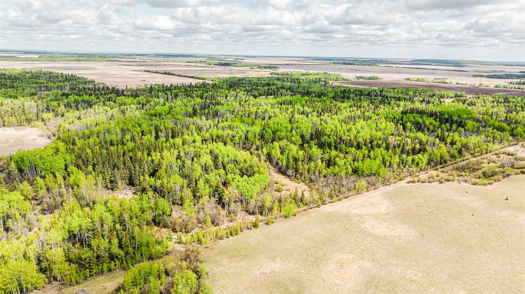Nw-19-81-9-w6 Highway 681 Property Photo 16