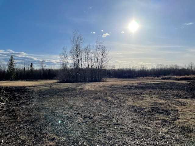Mackenzie County County Real Estate Listings Main Image