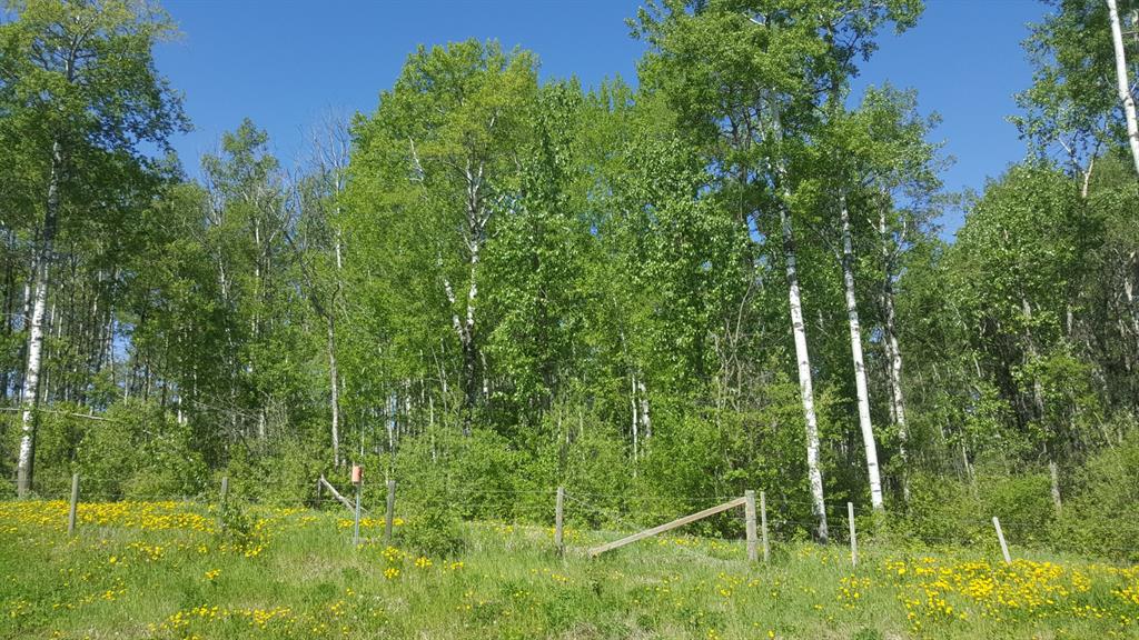 .... Weberville Road Property Photo 1