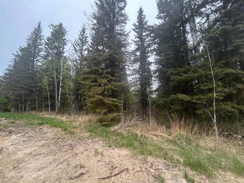 148 Christina Lake Drive Rr Property Photo 1