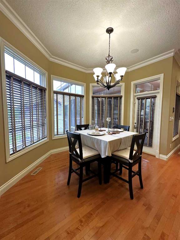 15902 104 Street Property Photo 34