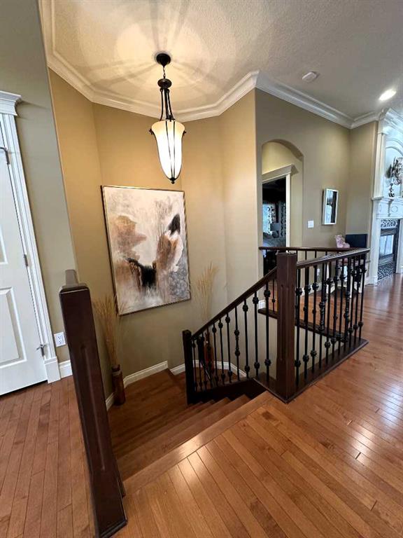 15902 104 Street Property Photo 38