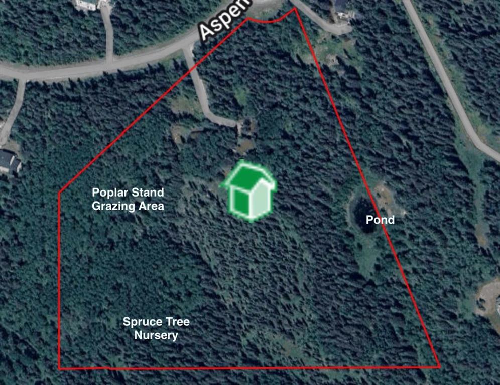 37 Aspen Creek Drive Property Photo 5