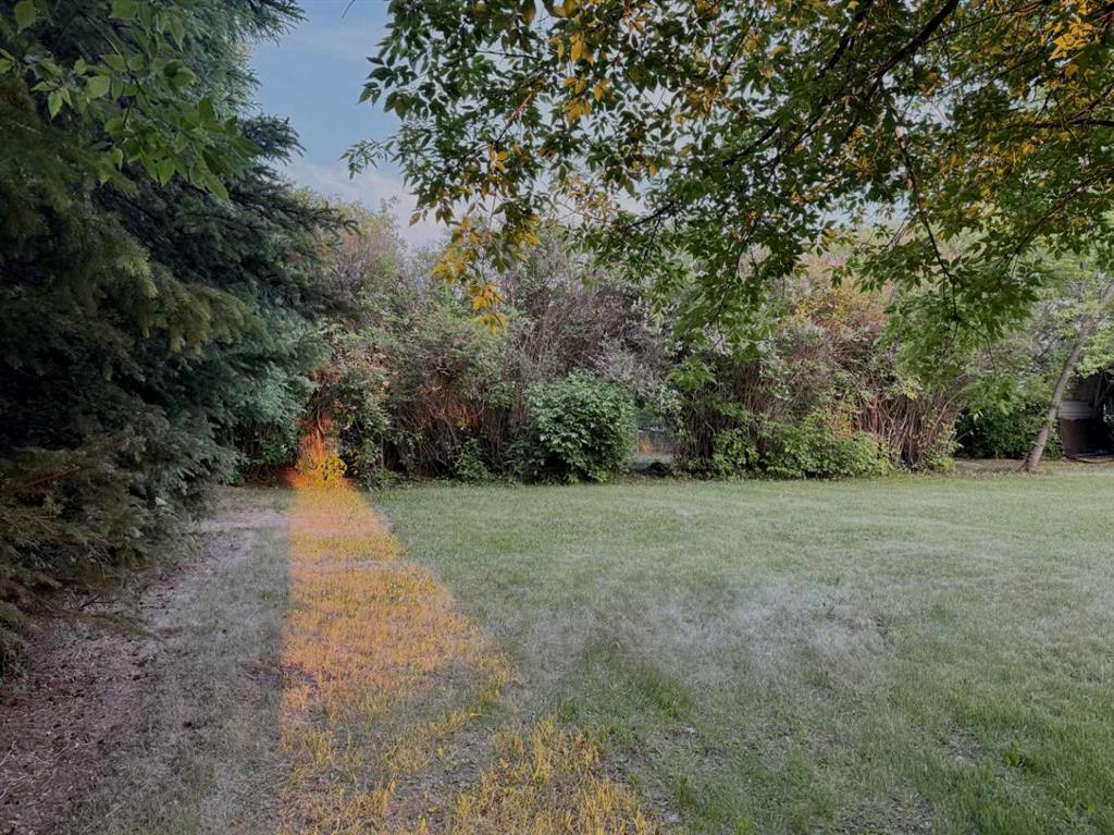 4621 46 Street Property Photo 4