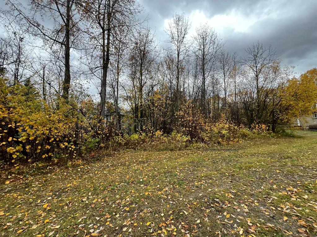 322 Evergreen Road Property Photo 1