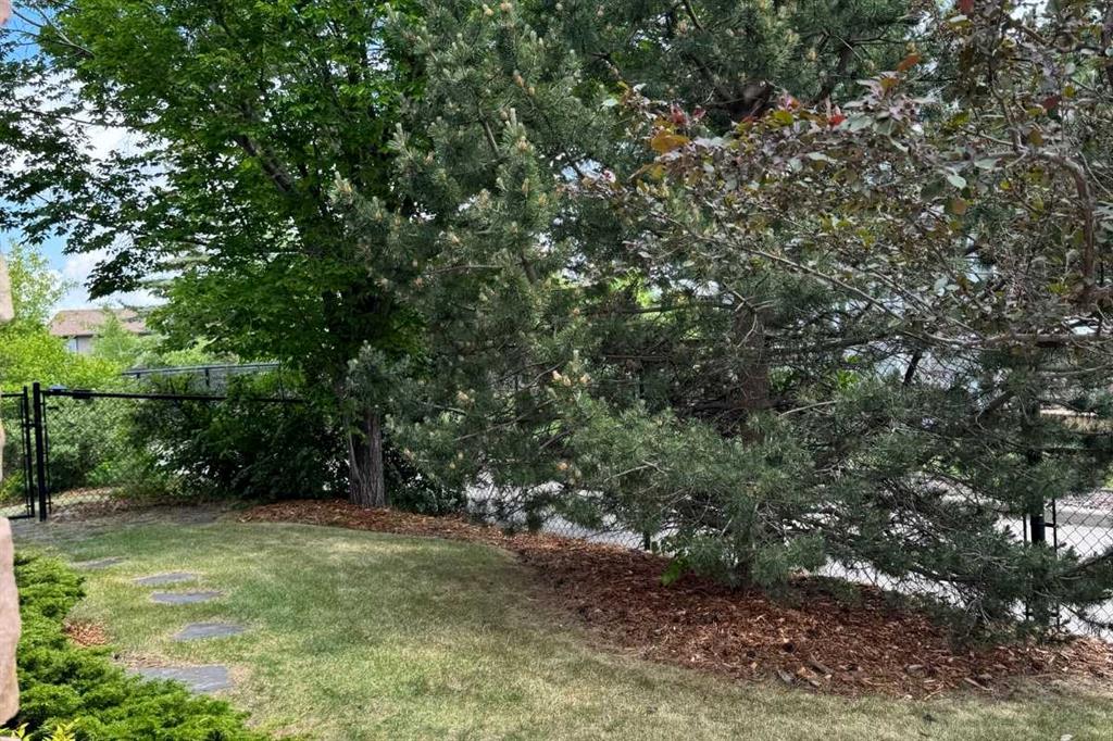 31 Cougarstone Point Property Photo 33