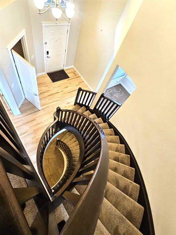 233 Pantego Road Property Photo 34