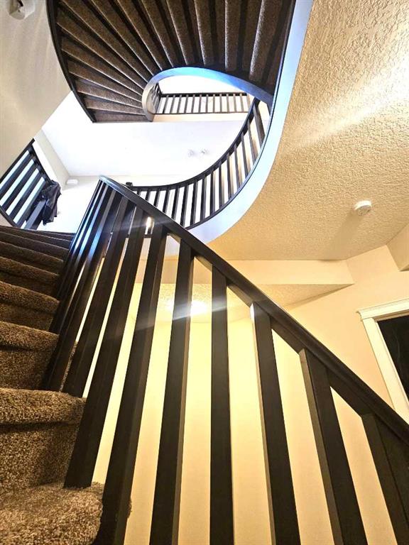 233 Pantego Road Property Photo 46