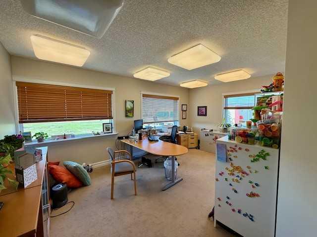 8715 109 Street 101 Property Photo 25