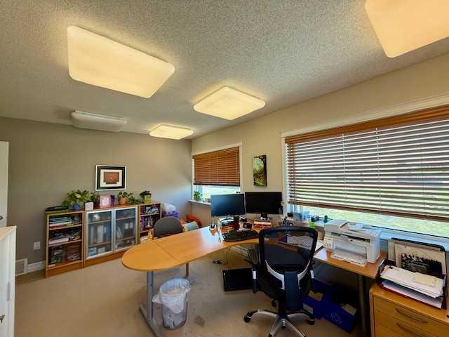 8715 109 Street 101 Property Photo 26