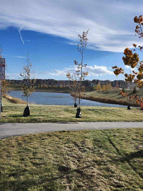 24 Silverton Glen Green Property Photo 20