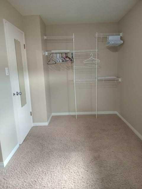 81 Cheviot Drive Property Photo 14