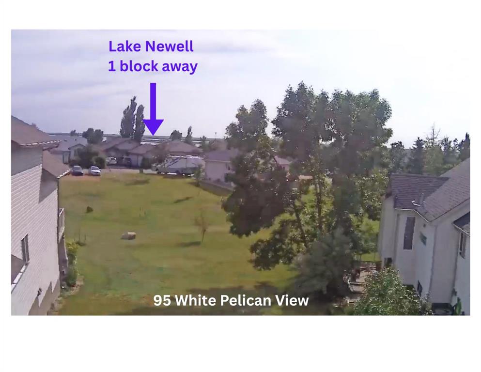 95 White Pelican View