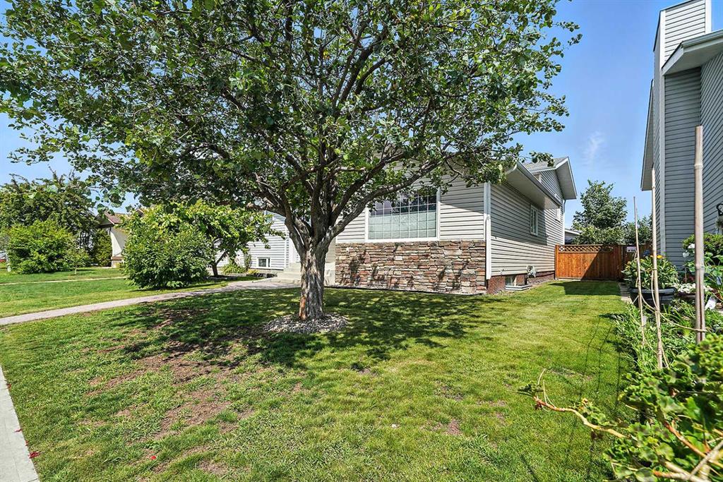48 Elder Street Property Photo 3