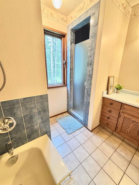 125 Elk Valley Crescent Property Photo 23
