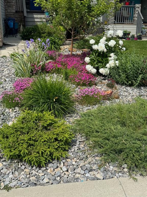 11 Springbank Mount Property Photo 43