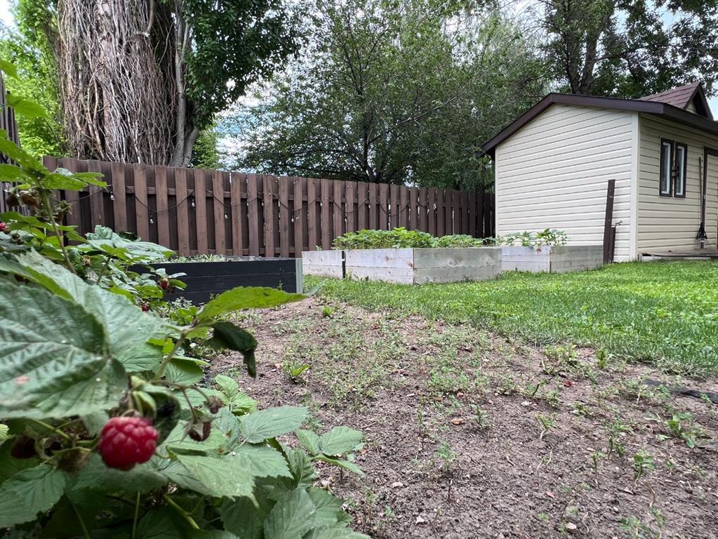 2117 10a Street Property Photo 46