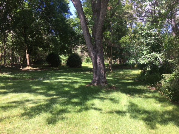 484 Edgell Property Photo 4