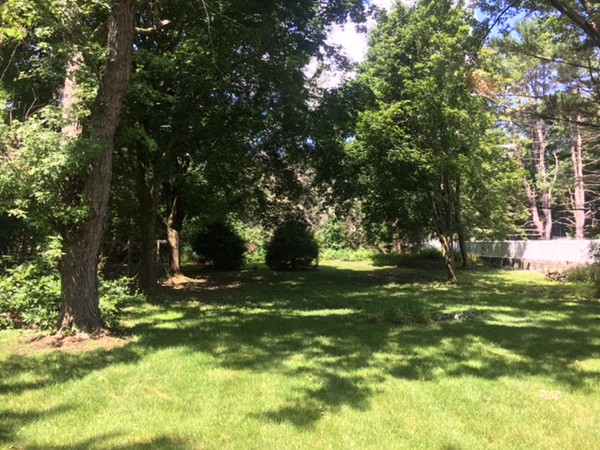 484 Edgell Property Photo 5