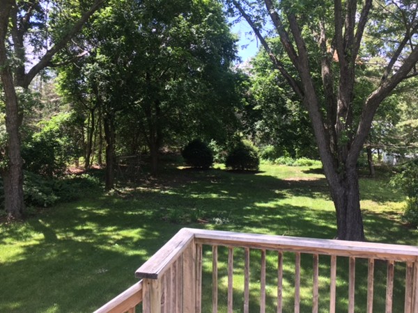 484 Edgell Property Photo 7
