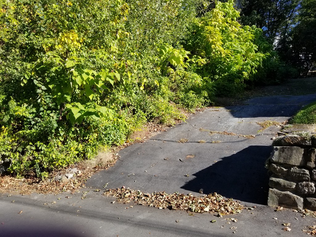 27 Jefferson St Property Photo 2