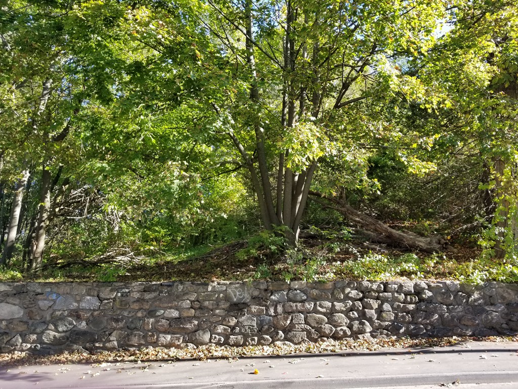 27 Jefferson St Property Photo 3