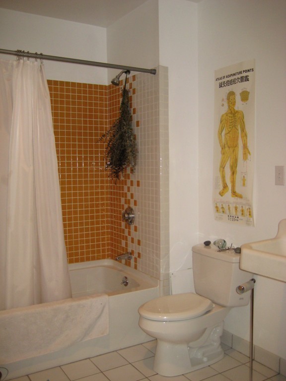 10 Williams St # 24 Property Photo 9