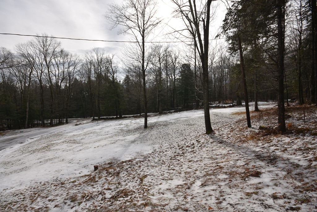 54 Porter Hill Rd Property Photo 23