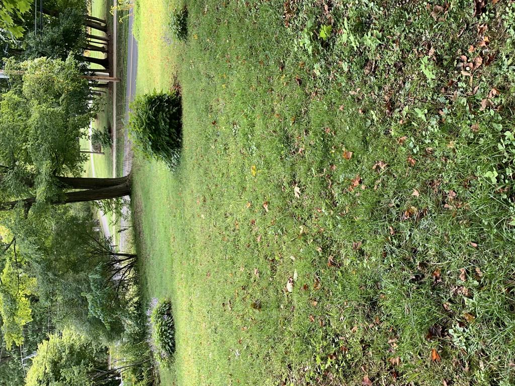 15 Hubbard St Property Photo 19