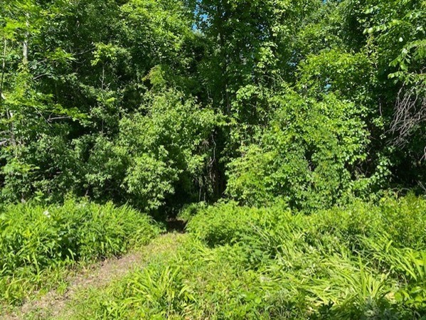 280 & 290 Spring Road Property Photo 3