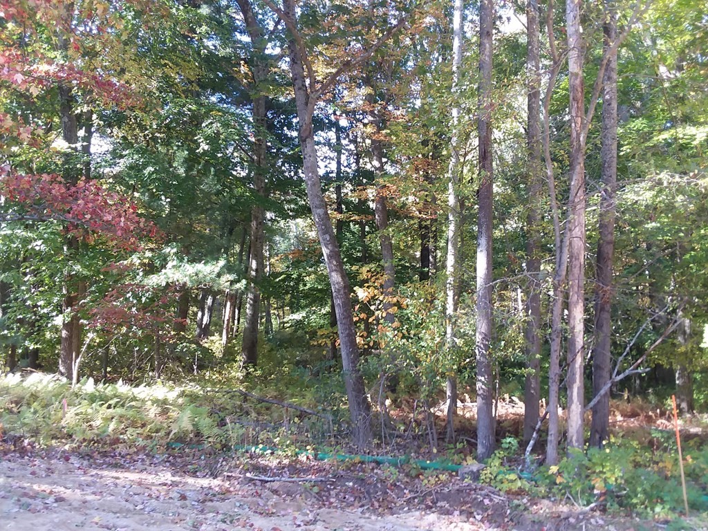 50 Walnut Street Property Photo 3