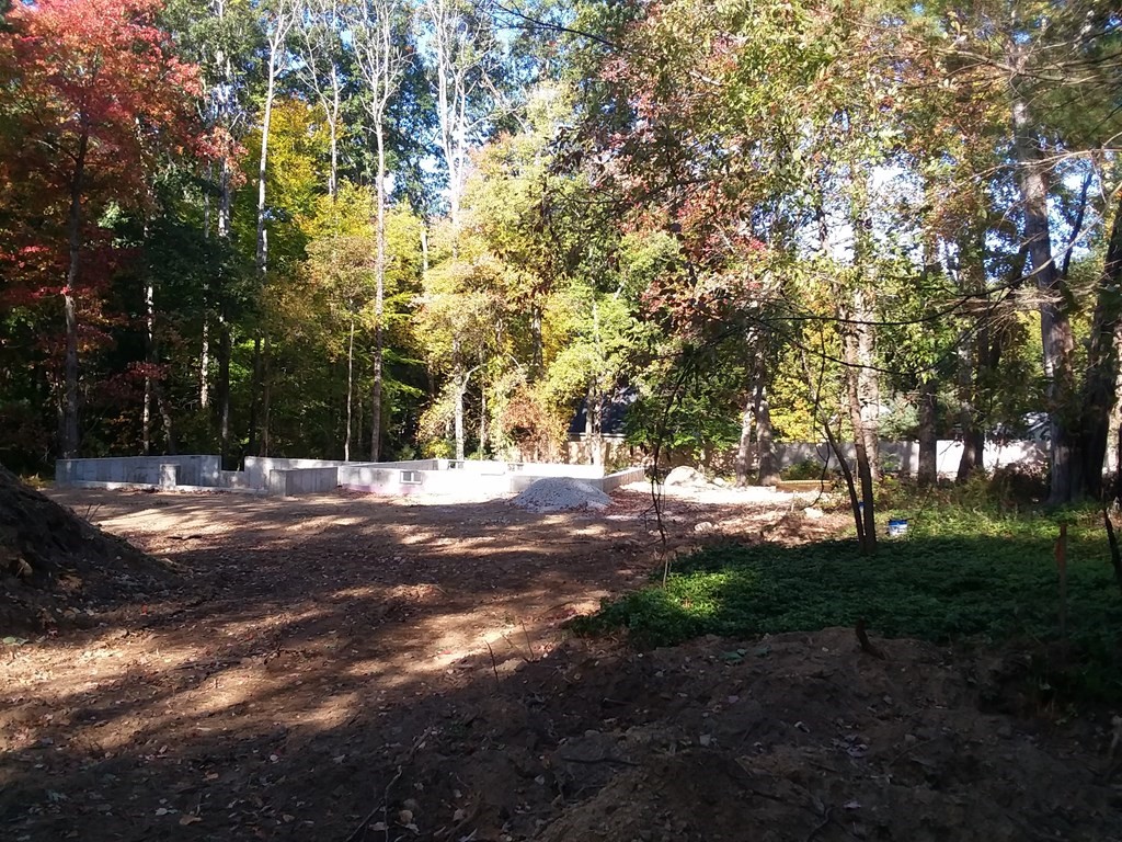 50 Walnut Street Property Photo 5