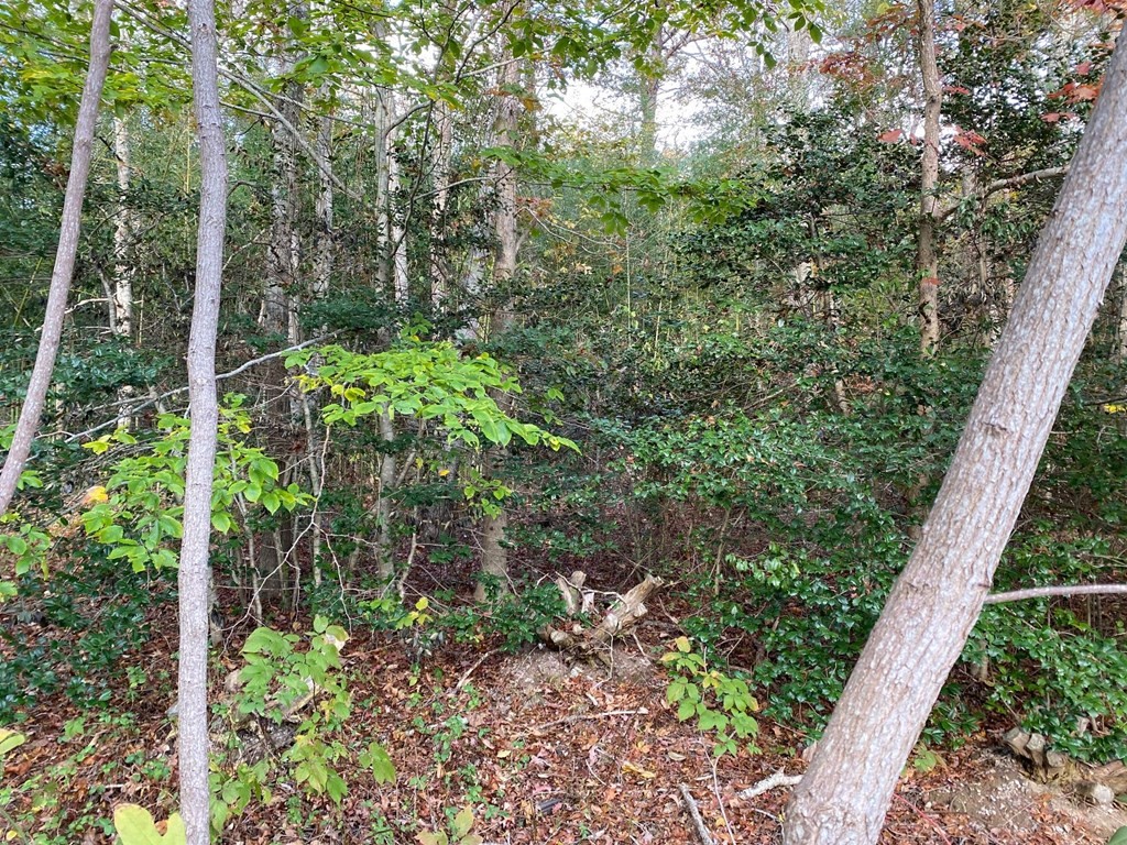 93 Deerfield Rd Property Photo 2
