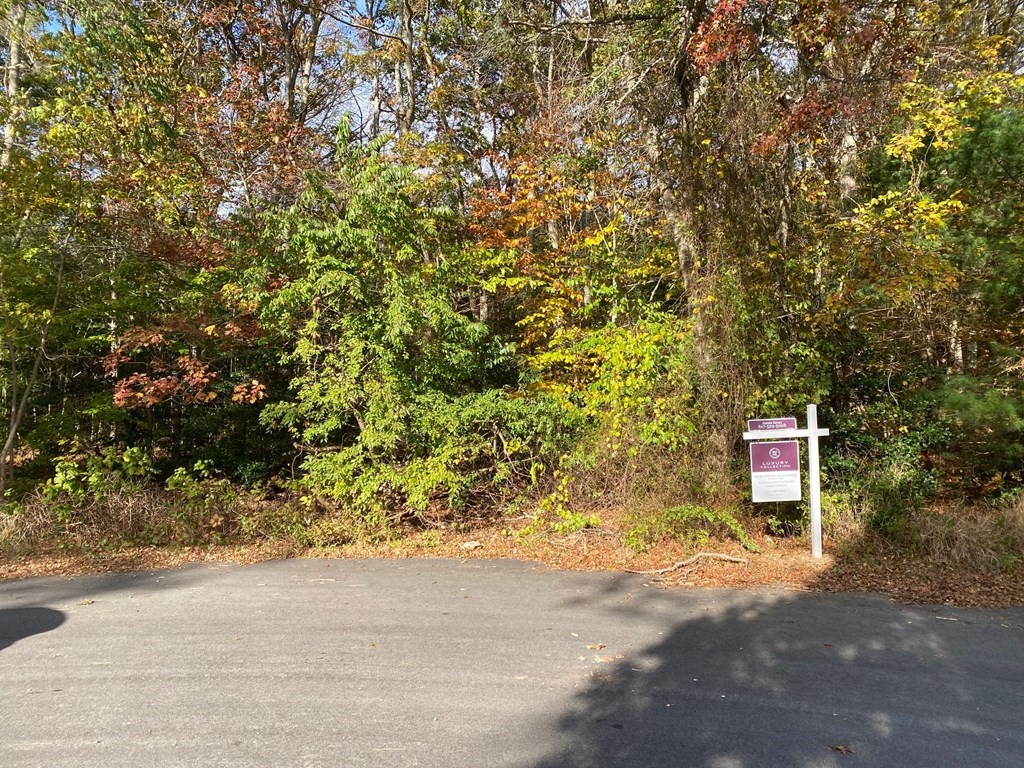 93 Deerfield Rd Property Photo 4