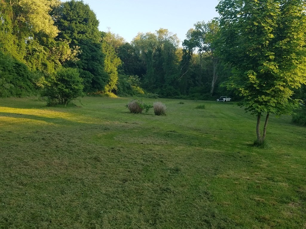 0 Palmer Property Photo 3