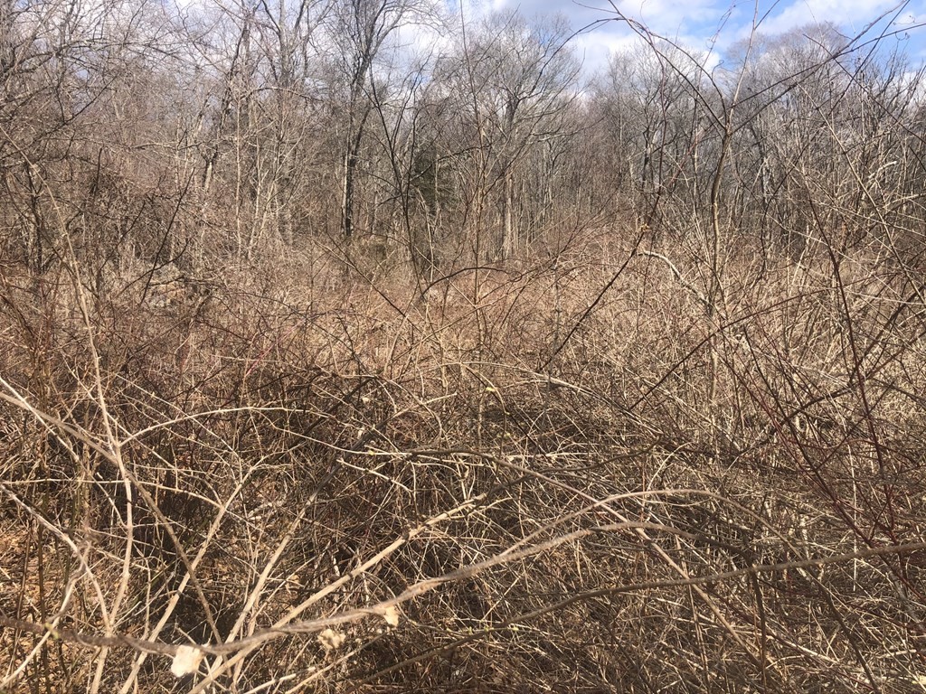 0 Range Ave Property Photo 5