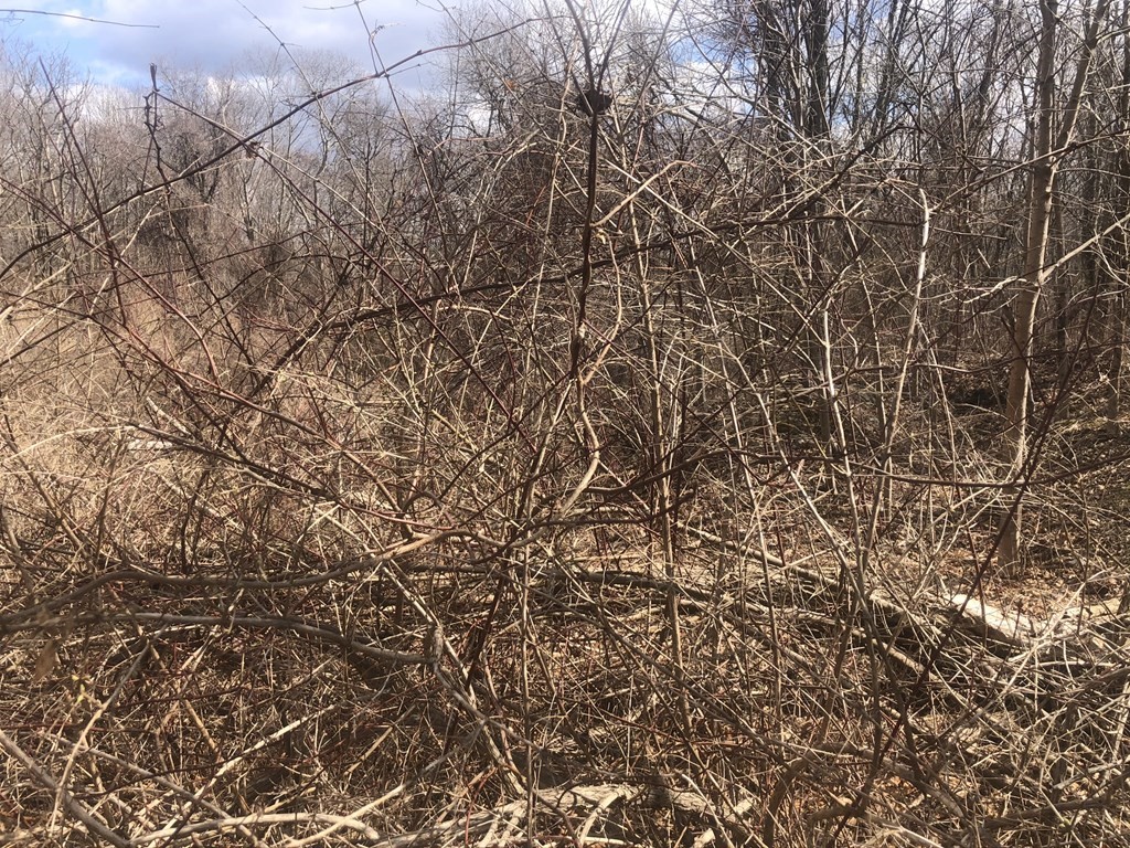 0 Range Ave Property Photo 6