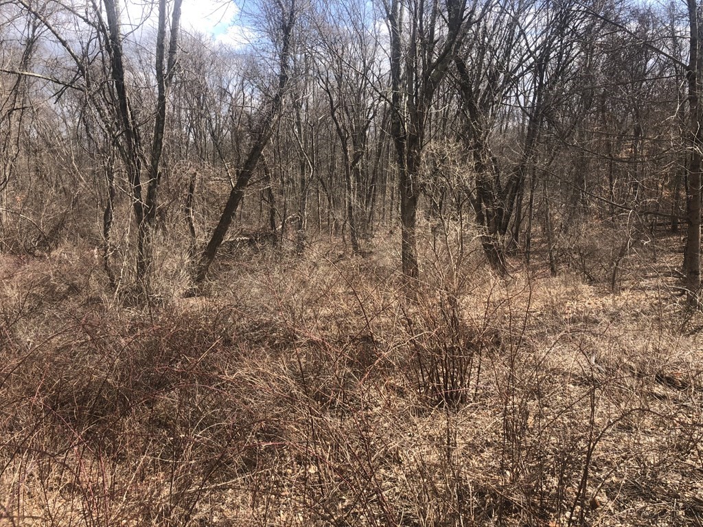 0 Range Ave Property Photo 8