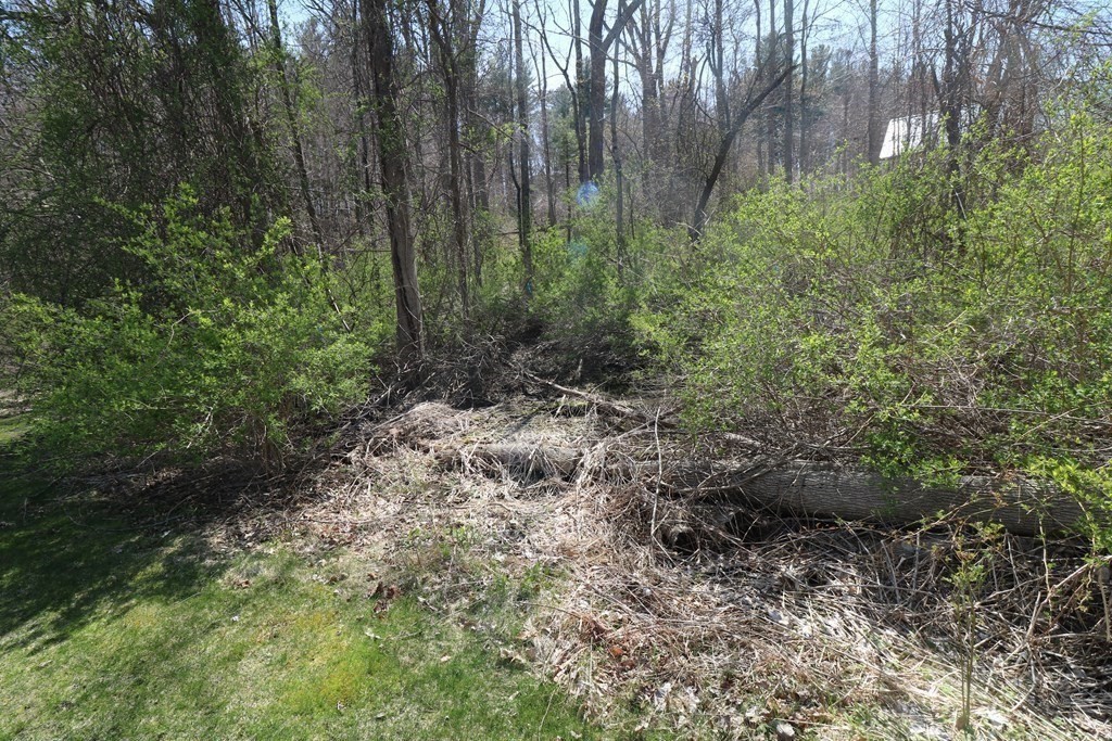 0 Mountain View Avenue Property Photo 8