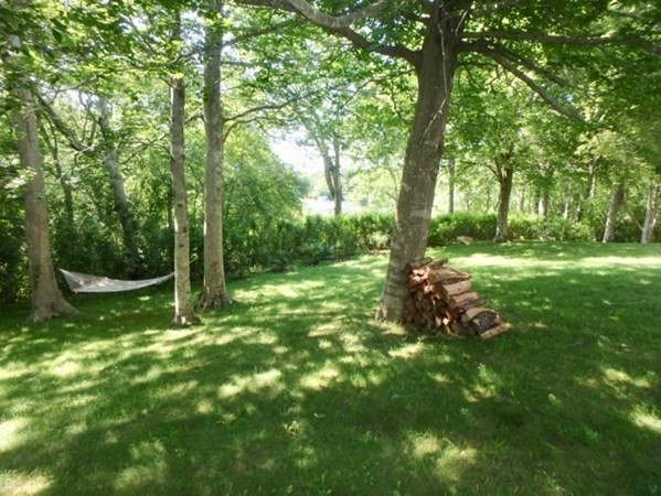 56 Chilmark Rd Ch208 Property Photo 20