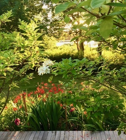 56 Chilmark Rd Ch208 Property Photo 21