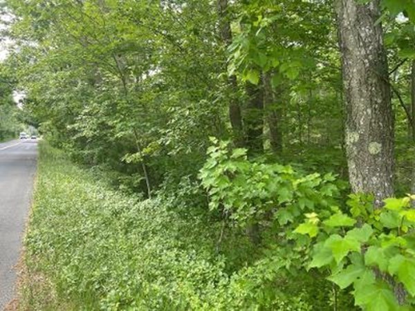 218 Old Center Street Property Photo 5