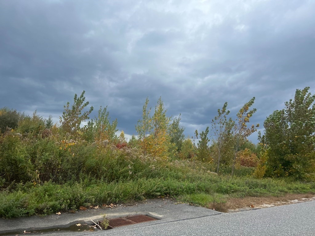 0 Haynes Hill Road Property Photo 1