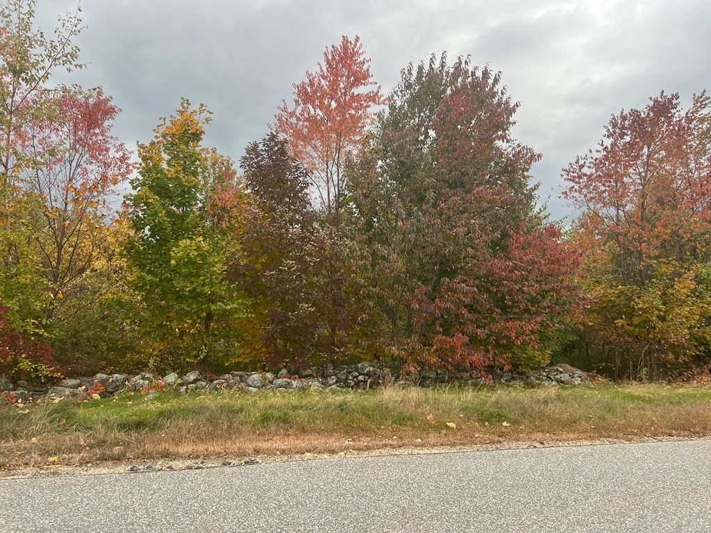 0 Haynes Hill Road Property Photo 3
